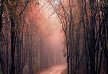 不妙！国足或提前告别世界杯，全胜也可能出不了线3-26 11：32.