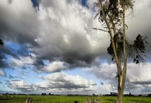 虎扑体育：多3场！西蒙斯2年打61场，恩比德58场，有点意思啊.