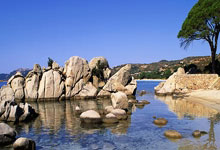 虎扑体育：美国高山滑雪名将沃恩宣布复出：剑指2026年冬奥会2025-02-06.